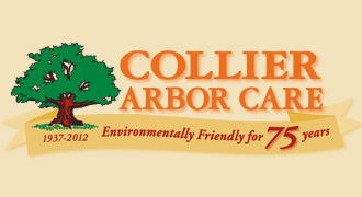 Collier Arbor Care