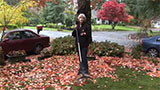 Raking Leaves for Mulch