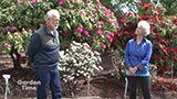 Van Veen Rhododendron Heritage Garden