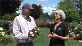 Washing Peonies