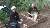 TOW  Raised Bed Cat Deterrent