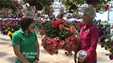 French Prairie Gardens Hanging Baskets