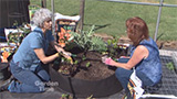 Smart Pot Raised Bed