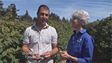 Smith Berry Barn Early Fruit