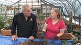 Re-Potting Cactus