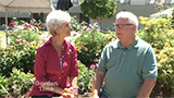 State Fair Garden Contests