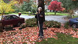 Raking Leaves for Mulch