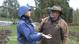 Rose Test Garden Pruning