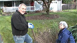 Dividing Perennials in the Ground