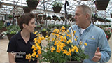 French Prairie Gardens  GardenPalooza