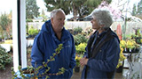 French Prairie Perennials  GardenPalooza