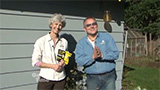 Spring Wasp Traps