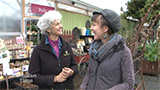 Garland Root Crops and 80th Anniversary