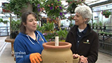 Portland Nursery Strawberry Pot