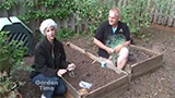 Raised Bed Cat Deterrent