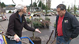 Planting a Fruit Tree