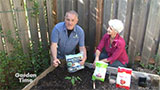 Planting Tomatoes