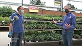 Portland Nursery Vegetable Rotation and Succession Planting