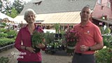 Shopping your Garden Center