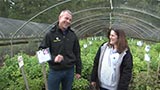 Cascade Nursery Trail - Out in the Garden/Hydrangeas Plus