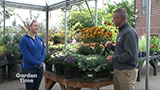 Portland Nursery Garden Design